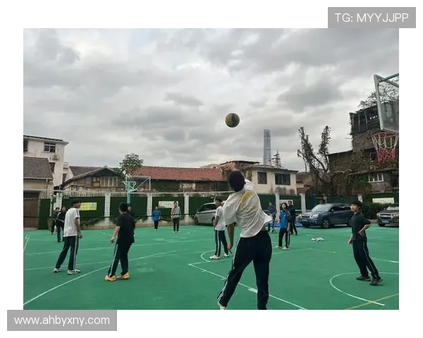 上海排球队创历史新高排球状态排名再创新高峰 上海排球队创历史新高排球状态排名再创新高峰