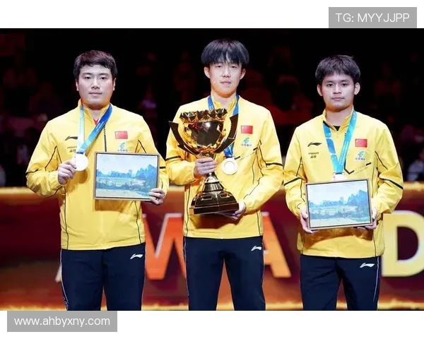 乒乓球的魅力与挑战：深圳乒乓球队反击之路的深度解析