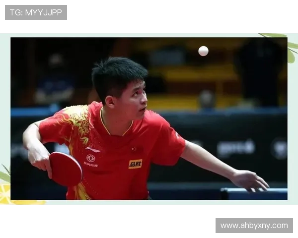 北京乒乓球队灵活性变革引发热议探索新发展路径与未来挑战