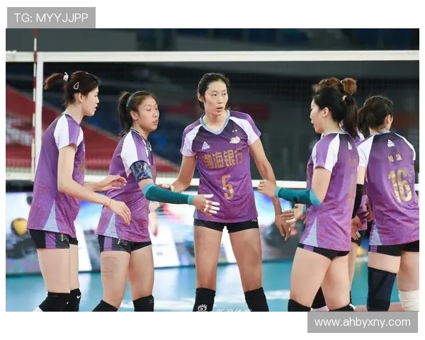 北京排球队实力强劲最新排球力量排行榜前十名揭晓