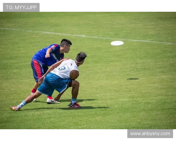 南京飞盘队创历史新高状态排名引发热议助力飞盘运动发展