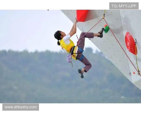 广州攀岩队在攀岩意识排行榜中荣获第九名的佳绩引发关注