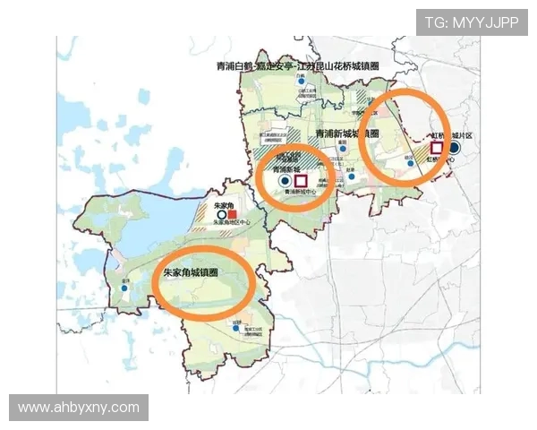 武汉羽毛球队阵地战全解析：战术布局与未来展望