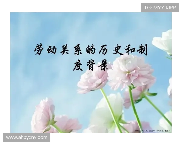 巴勒斯坦人和康塞的对决：历史背景与未来展望分析