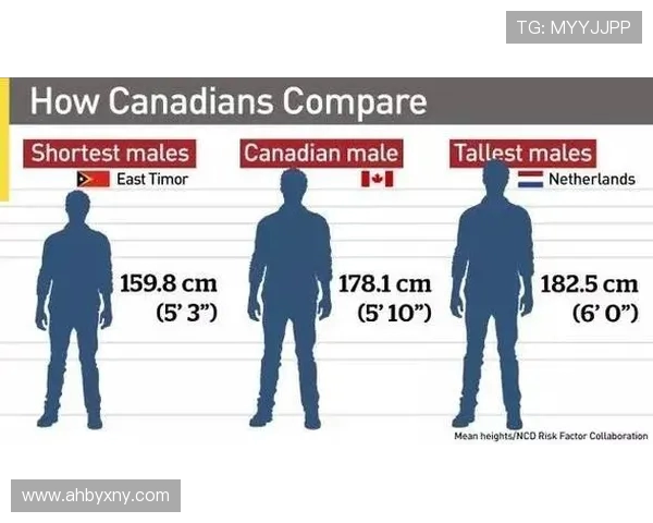 爱沙尼亚与波黑激战在即竞彩分析与投注策略全解析