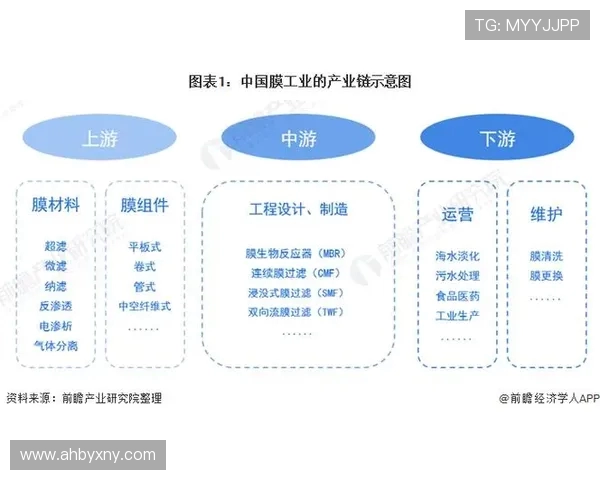 广州排球队运营策略深度分析与发展前景展望 广州排球队运营策略深度分析与发展前景展望