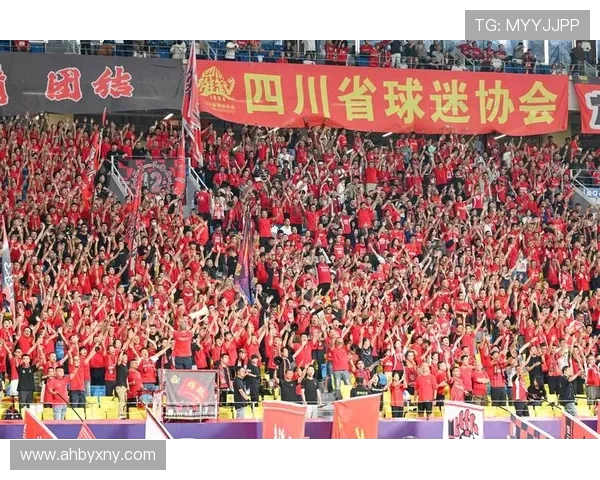 成都乒乓球队技术争议引发热议球迷与专家各执己见探讨技战术发展